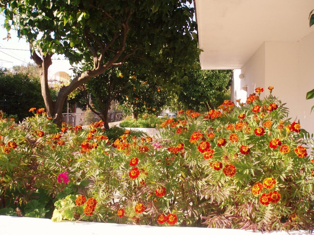 Alexios Studios Neo Klima Exterior foto